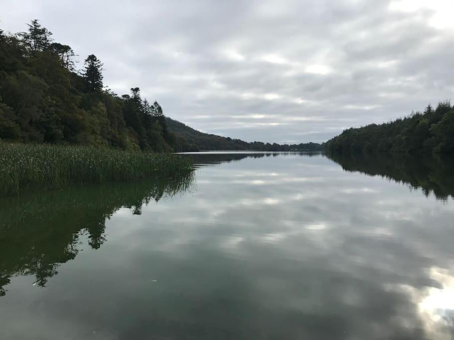 Forest View - Castlewellan, County Down Белфаст Экстерьер фото
